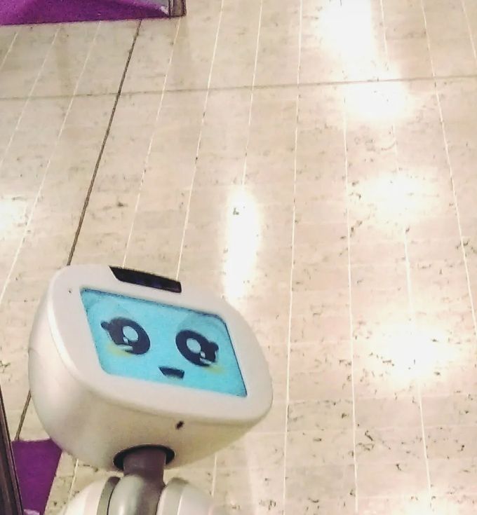nouveauté 2022 :buddy Un partenaire robot arrivé au centre : je vous fait un retour très vite des bienfaits. Le centre fusionne l hyper-technologie et la sagesse animale pour accompagner efficacement mes clients.  